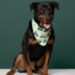 Rescatista_nuestra Tribu_Perro_Carmelo_DSC8274 copia
