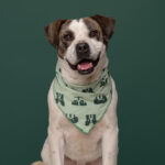 Rescatista_nuestra Tribu_Perro_Chester_DSC8312 copia