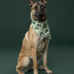 Rescatista_Luis Miranda_perrito_Tijuana_DSC4847 copia