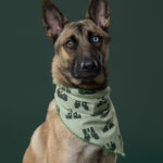 Rescatista_Luis Miranda_perrito_Tijuana_DSC4851 copia