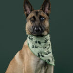 Rescatista_Luis Miranda_perrito_Tijuana_DSC4854 copia