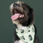 Rescatista_Roxana_perrito_Beto_DSC4241 copia